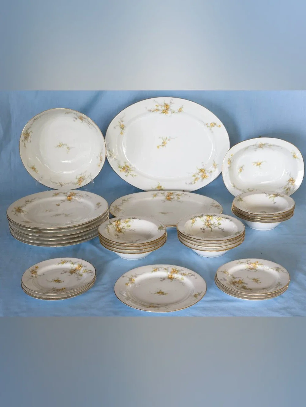 Beautiful Antique Elite Works Limoges France LIM48 Yellow Rose Dinnerware Set